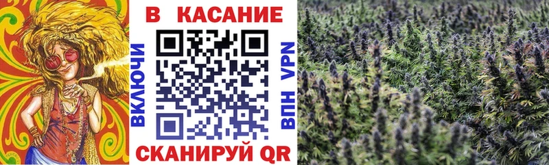 Купить наркотики Гатчина АМФЕТАМИН 