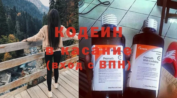 МДПВ Бородино
