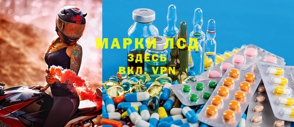 прущий лед Богданович