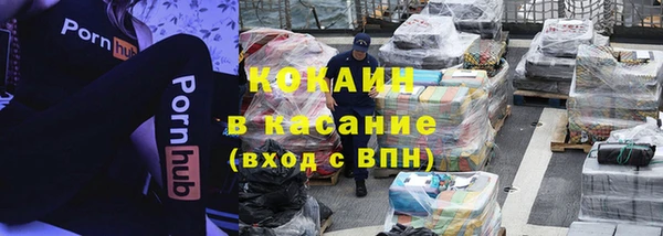 МДПВ Бородино