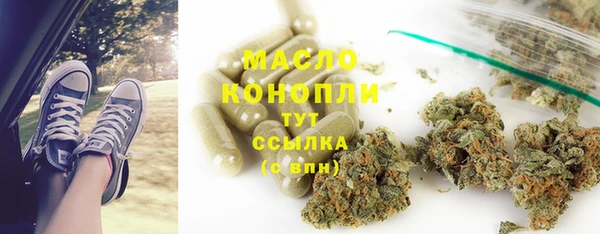 прущий лед Богданович