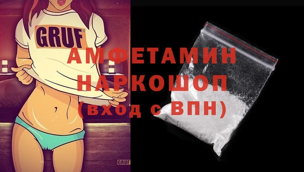 МДПВ Бородино
