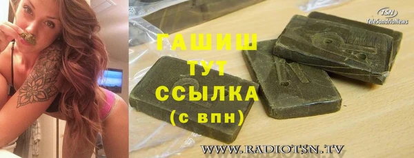 МДПВ Бородино