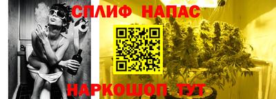 гашик Берёзовский