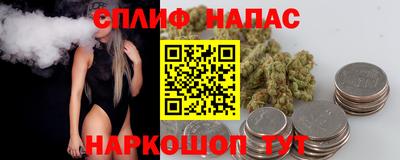 индика Беслан