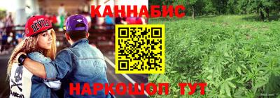 индика Беслан