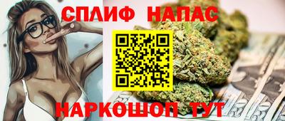 гашик Берёзовский