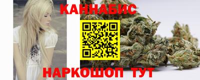индика Беслан