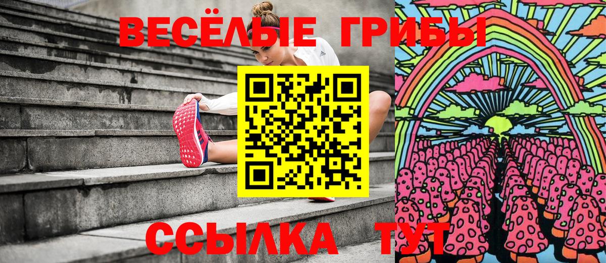 Галлюциногенные грибы ЛСД  Галлюциногенные грибы MAGIC MUSHROOMS  Гатчина  Вход с VPN 